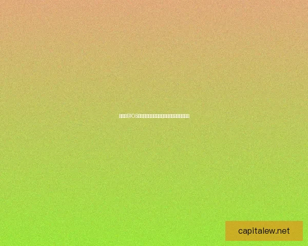 如何在BIOS中设置硬盘启动顺序以实现系统引导优化步骤