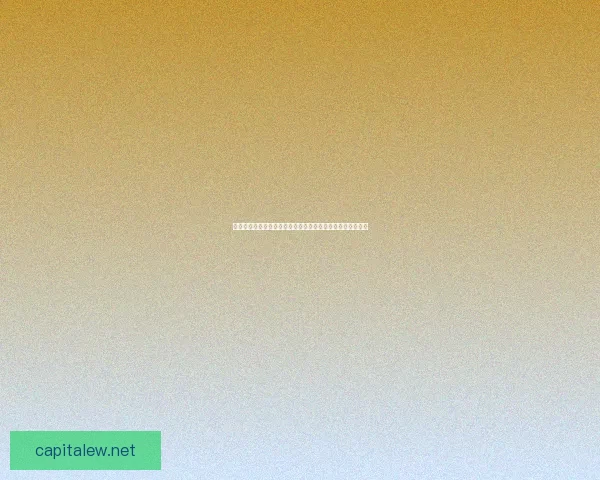 马云五福如何影响中国春节消费潮流与传统文化的传承与创新